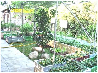 將廚餘堆肥用於社區屋頂花園植裁