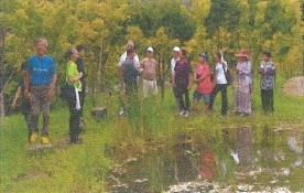 楓林社區-自然農園生態池營造