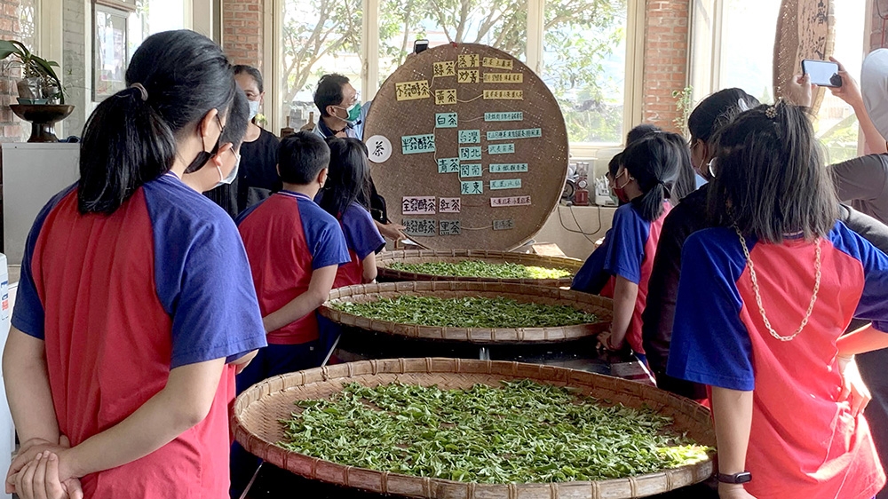 導覽員與參加學員說明茶的製程與種類