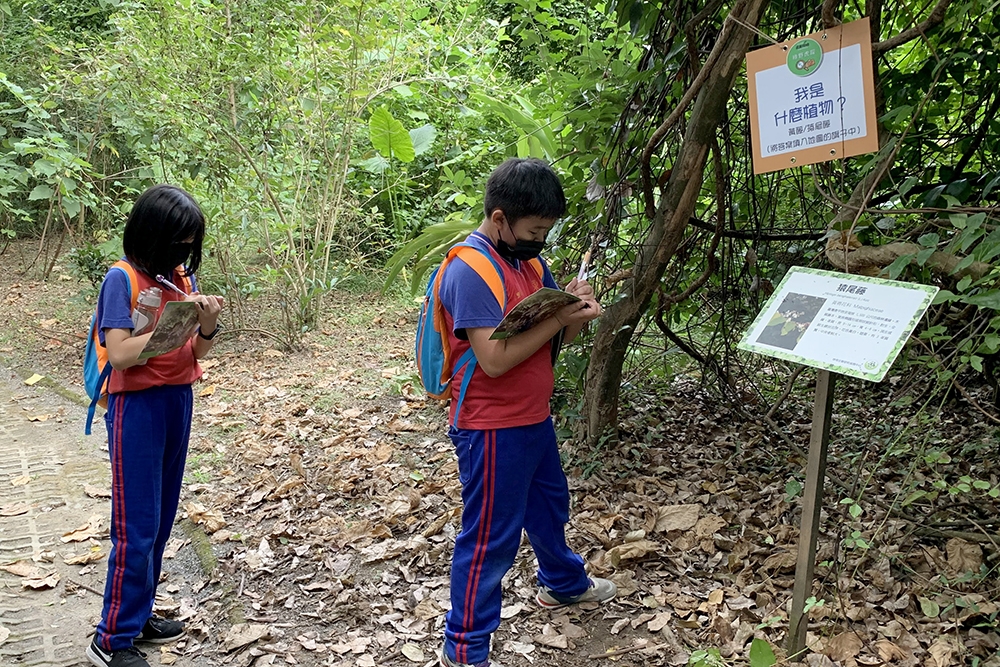 特生中心綠野虎蹤闖關遊戲建立生物與保育觀念 特生中心綠野虎蹤闖關遊戲建立生物與保育觀念
