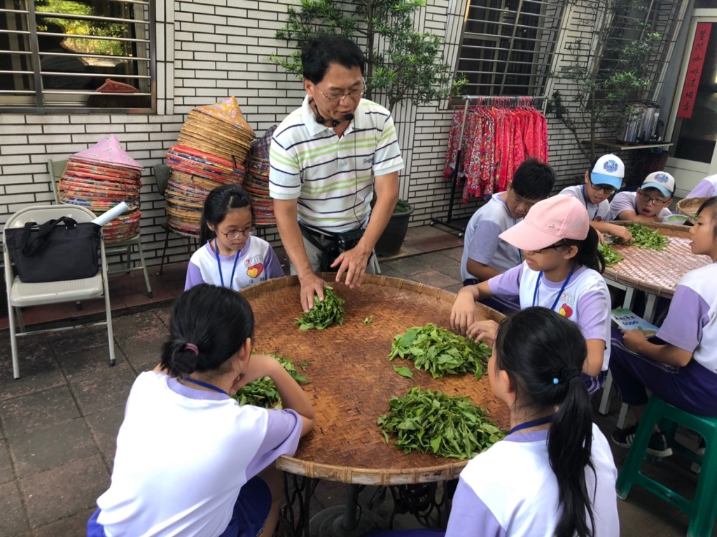 導覽員教導參與學童揉製茶葉