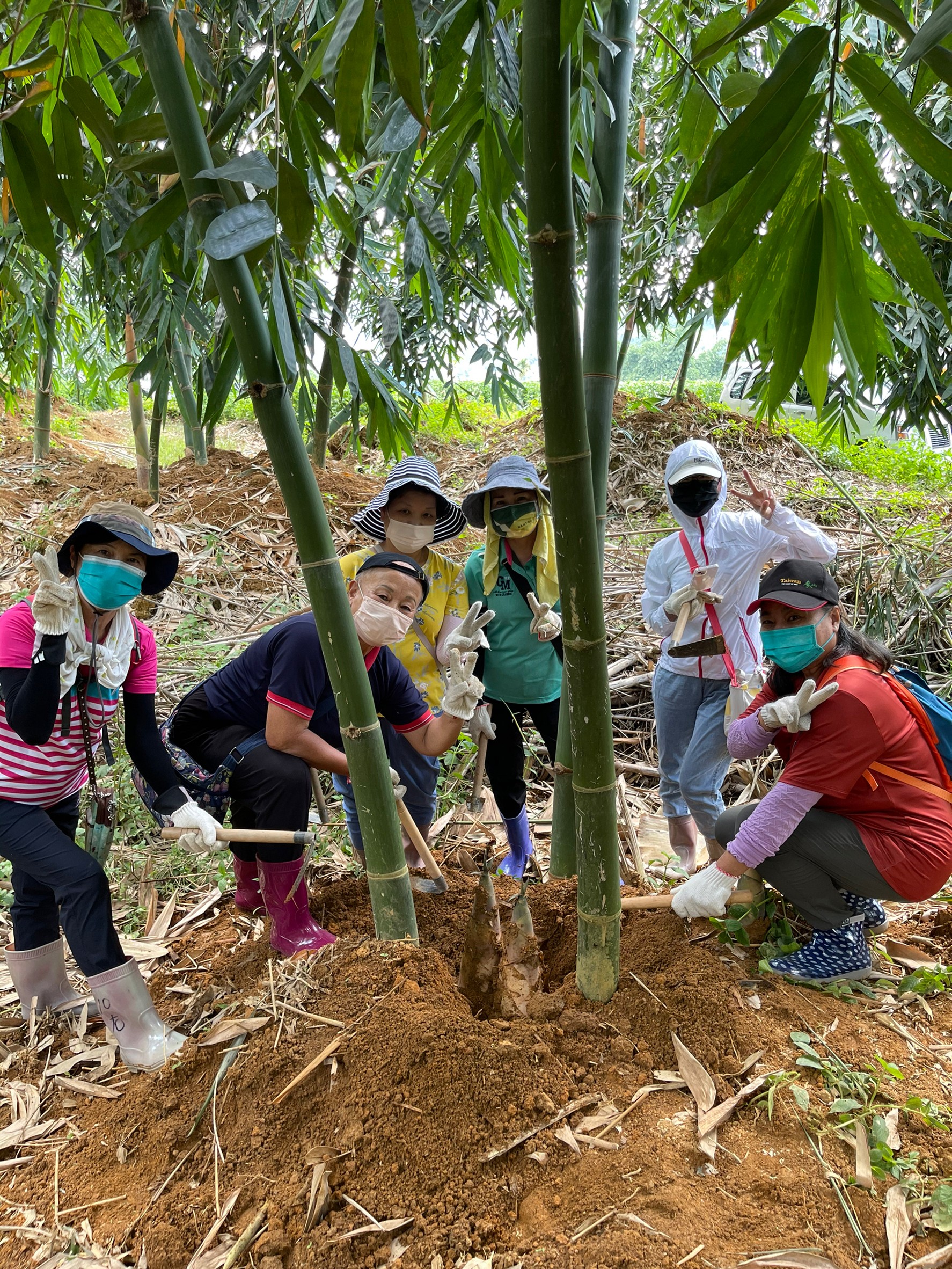 環境教育宣導活動-食農採筍趣