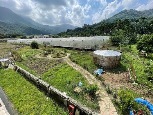 Community allotment and greenery in Tongtou Village, Zhushan Township