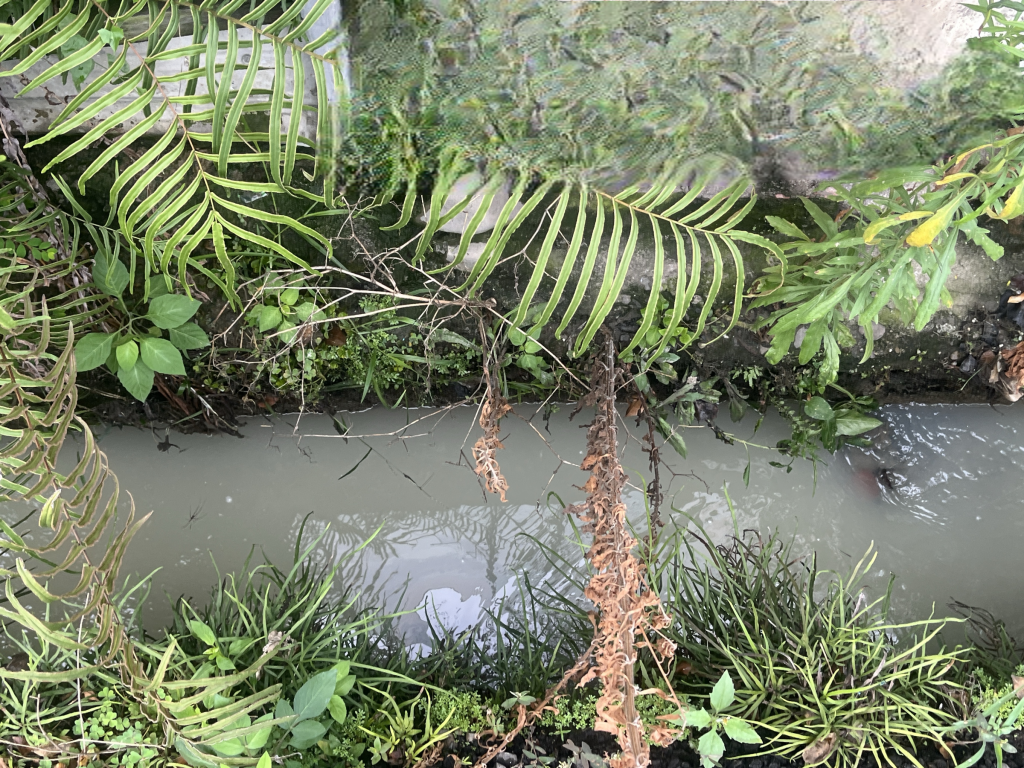 草屯鎮排水溝渠發現不明廢污水